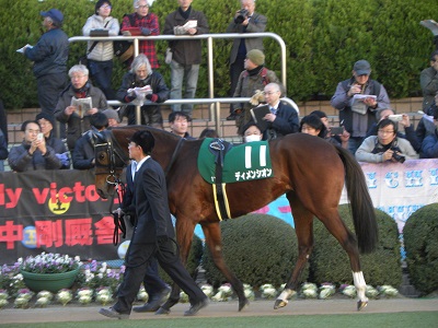 愛馬ディメンシオン